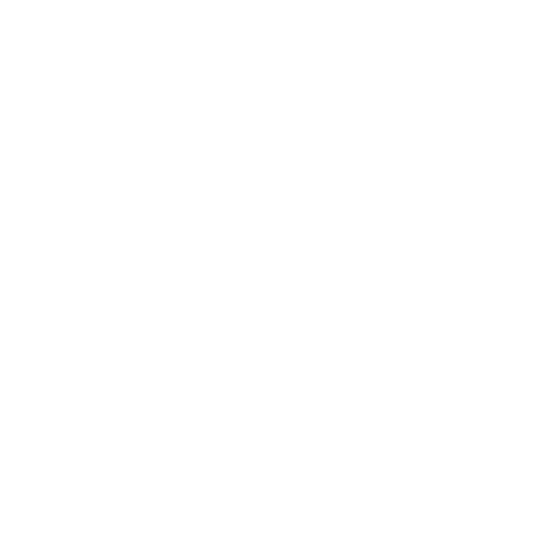 Logo holisticvibz blanco (white)